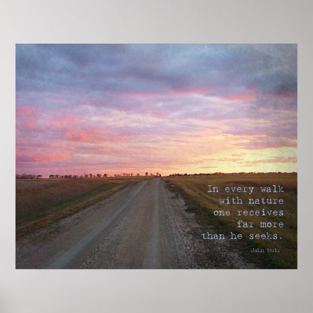 Poster La marche de John Muir (Devant)