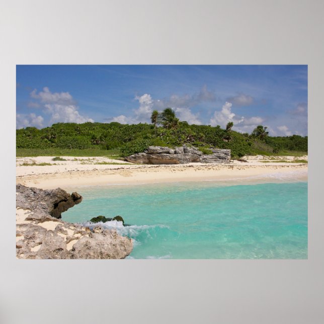 Poster La Mer Et La Jungle (Devant)