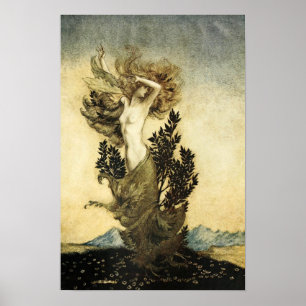 Poster La métamorphose de Daphné en arbre