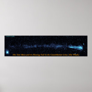 Poster La Mira Étoile Avec Queue