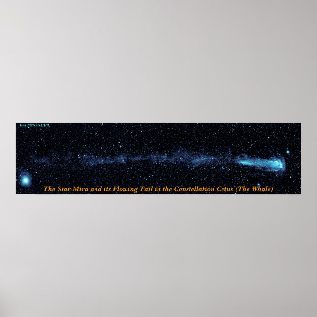 Poster La Mira Étoile Avec Queue (Devant)