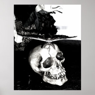 Poster La mite sur un crâne