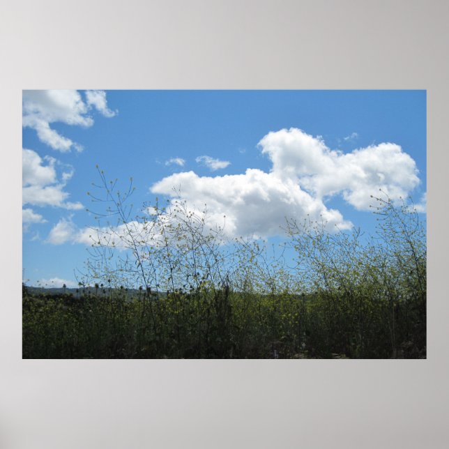 Poster : La moutarde dans les nuages (Devant)