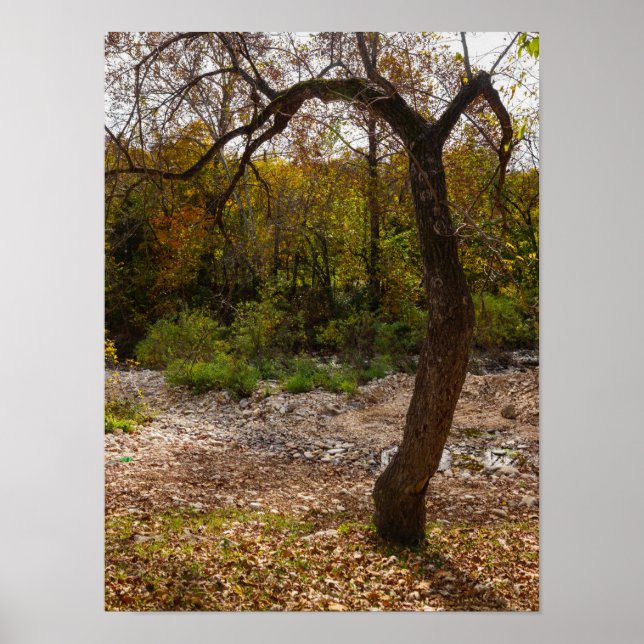 Poster La Nature (Devant)