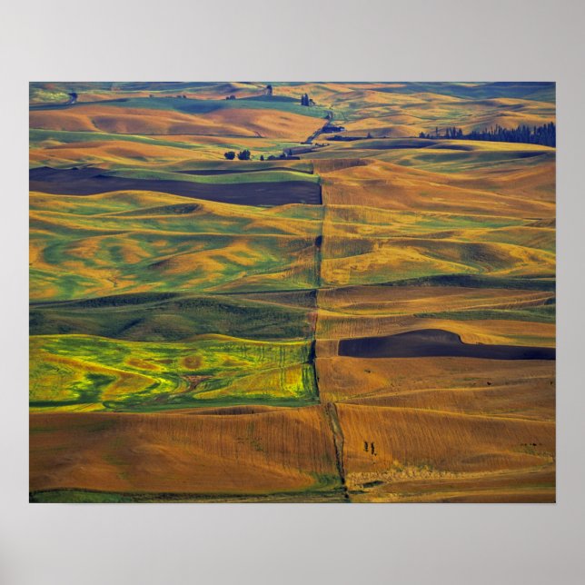 Poster La Palouse de Steptoe Butte, Colfax, (Devant)