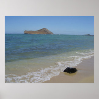 Poster La plage de Waimanalo