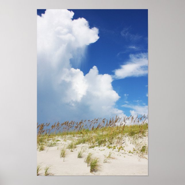Poster La pluie au-delà de la dune (Devant)