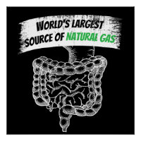 La Plus Grande Source Mondiale De Farting De Gaz N
