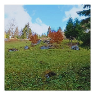 Poster La Prairie de Montagne - Nature Sauvage Roumanie