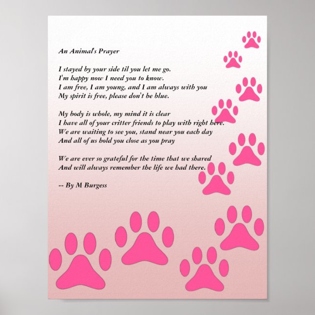 Poster La prière d'un animal - Paws roses - (Devant)