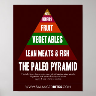 Poster : La Pyramide Paléo