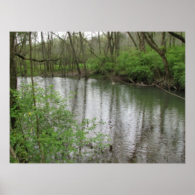 Poster La rivière de Pierre (Devant)