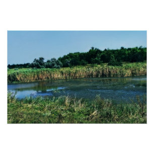 Poster La rivière Molochnaya près de Melitopol. Ukraine d