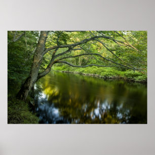Poster La rivière Taunton à Bridgewater,