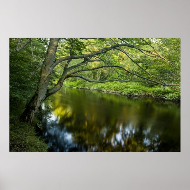 Poster La rivière Taunton à Bridgewater, (Devant)