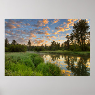 Poster La rivière Whitefish avec de beaux nuages au lever