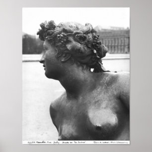 Poster La Saône, depuis le Parterre