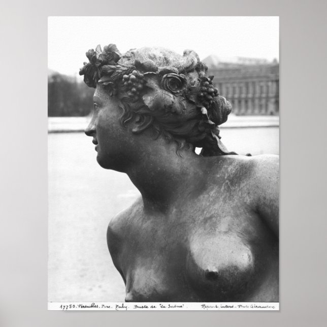 Poster La Saône, depuis le Parterre (Devant)