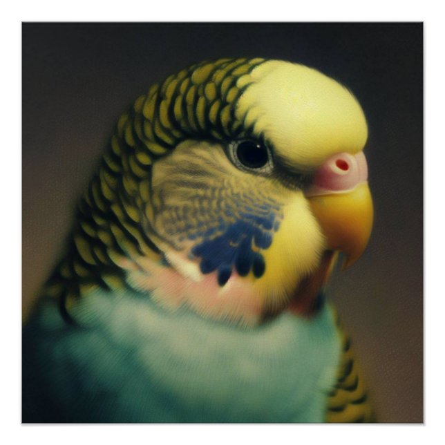 Poster La sérénité de Budgie (Devant)