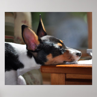 Poster La sieste d'Enzo