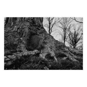 Poster la terre reprend