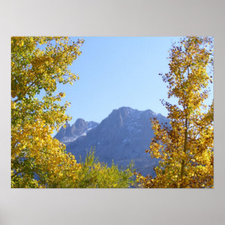 Poster La toile de la nature