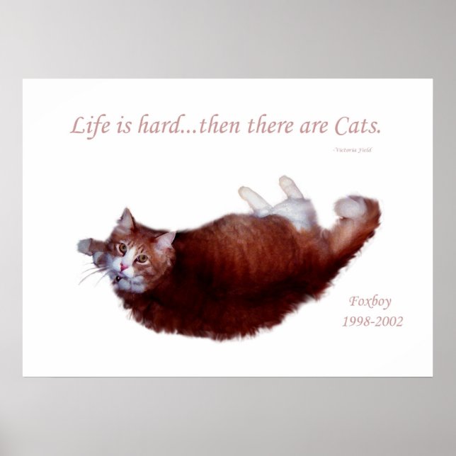 Poster La vie est dure...puis il y a les chats. (Devant)