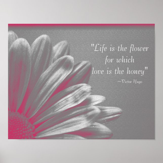 Poster La vie est la Fleur - Marguerite Rose (Devant)