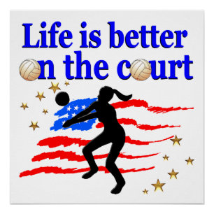 POSTER LA VIE EST MEILLEURE SUR LA COUR USA VOLLEYBALL DE