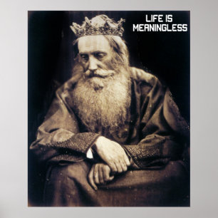 Poster La vie est sans signification