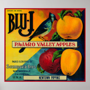 Poster Label Blu-J Apple Crate Watsonville, CA