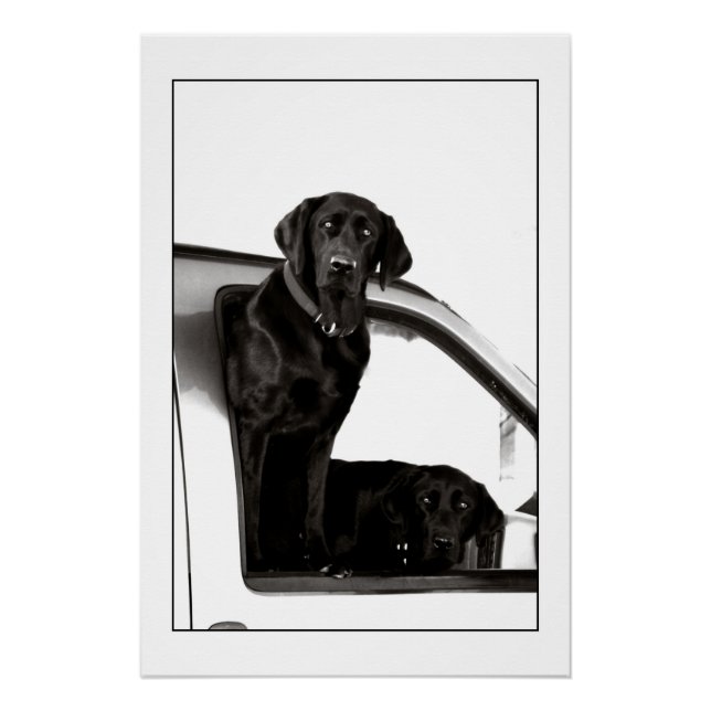 Poster Laboratoires noirs curieux (Devant)