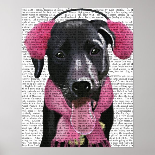 Poster Labrador Noir Avec Bouteilles Oreilles (Devant)