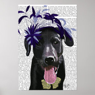 Poster Labrador Noir avec ventilateur bleu
