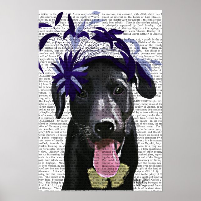 Poster Labrador Noir avec ventilateur bleu (Devant)