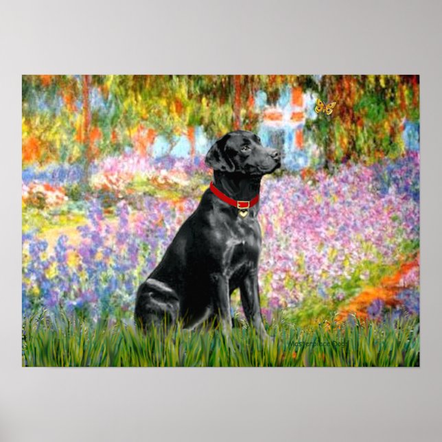 Poster Labrador (Noir) - Jardin (Devant)