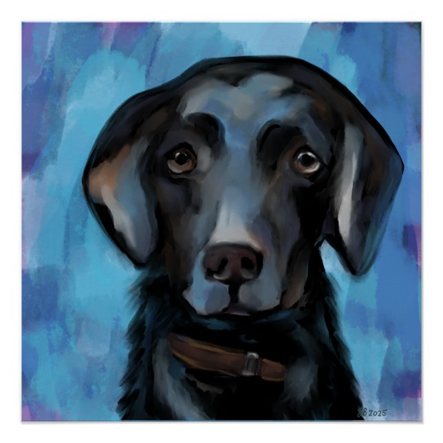 Poster Labrador Retriever (Devant)