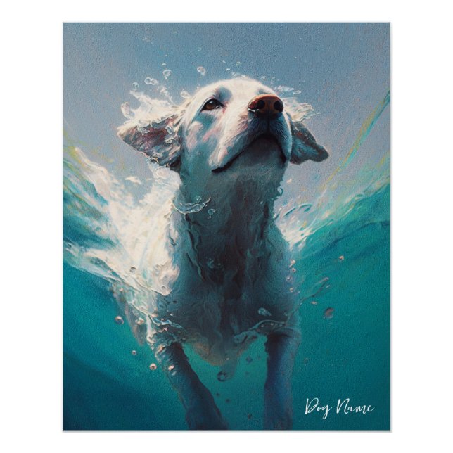 Poster Labrador Retriever dog swimming in water 004 (Devant)