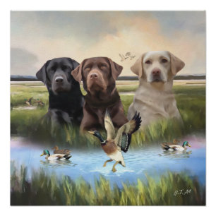 Poster Labrador Retrievers, (Chasse aux chiens)