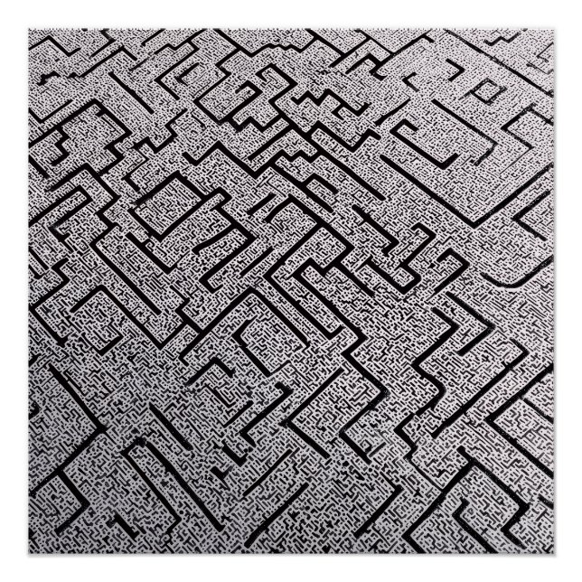 Poster Labyrinthe Intrigué Noir et Blanc (Devant)