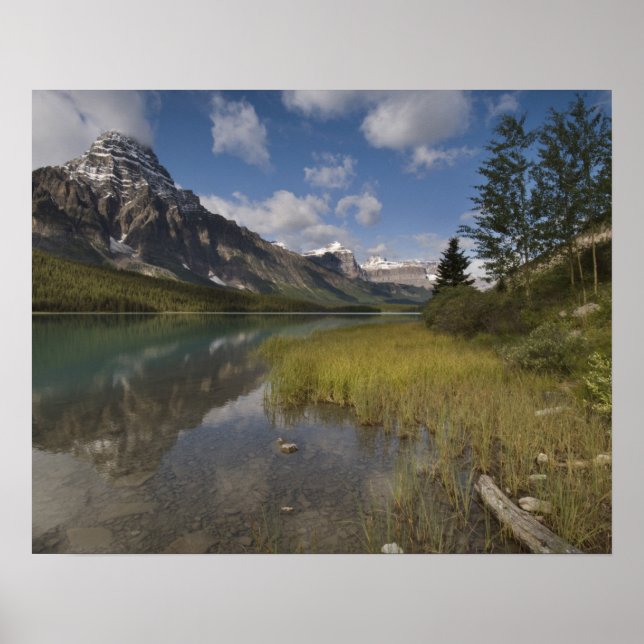 Poster Lac aux oiseaux d'eau le long de l'Icefields Parkw (Devant)