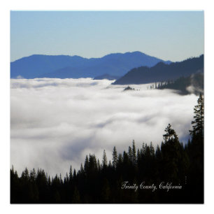 Poster Lac de brouillard à travers les arbres...