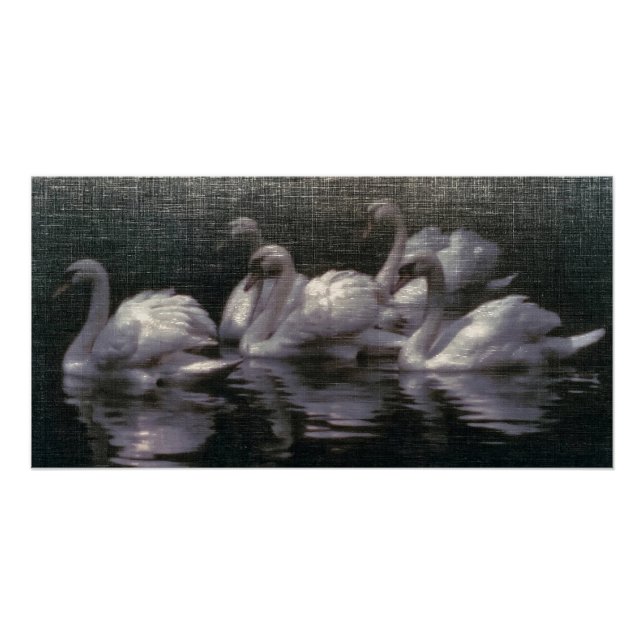 Poster Lac des cygnes au clair de lune (Devant)