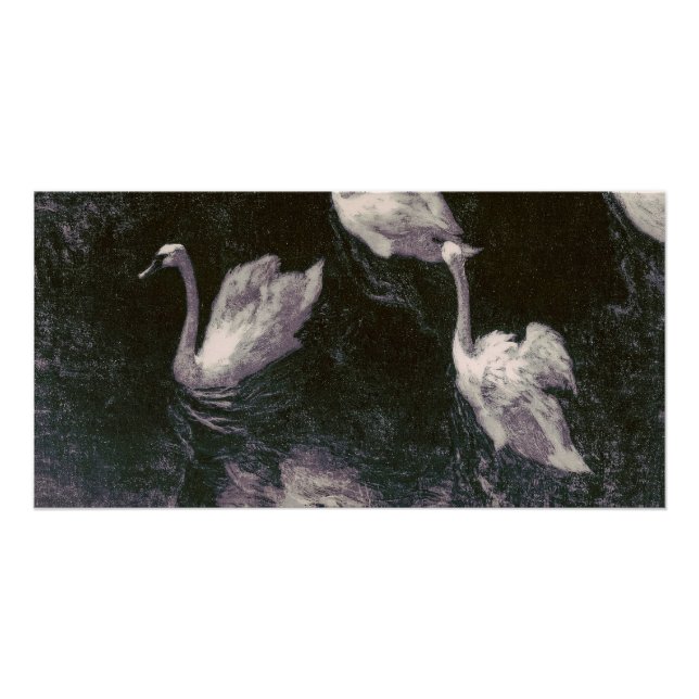 Poster Lac des cygnes au clair de lune (Devant)