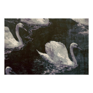 Poster Lac des cygnes au clair de lune