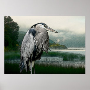 Poster Lac Heron