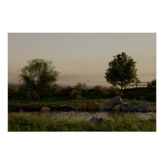 Poster Lac Meadow