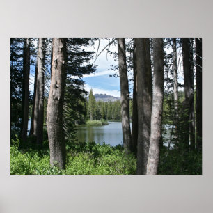 Poster Lac Mountain, Forêt