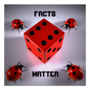 Poster Ladybug