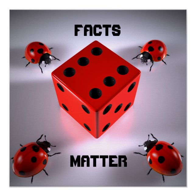 Poster Ladybug (Devant)